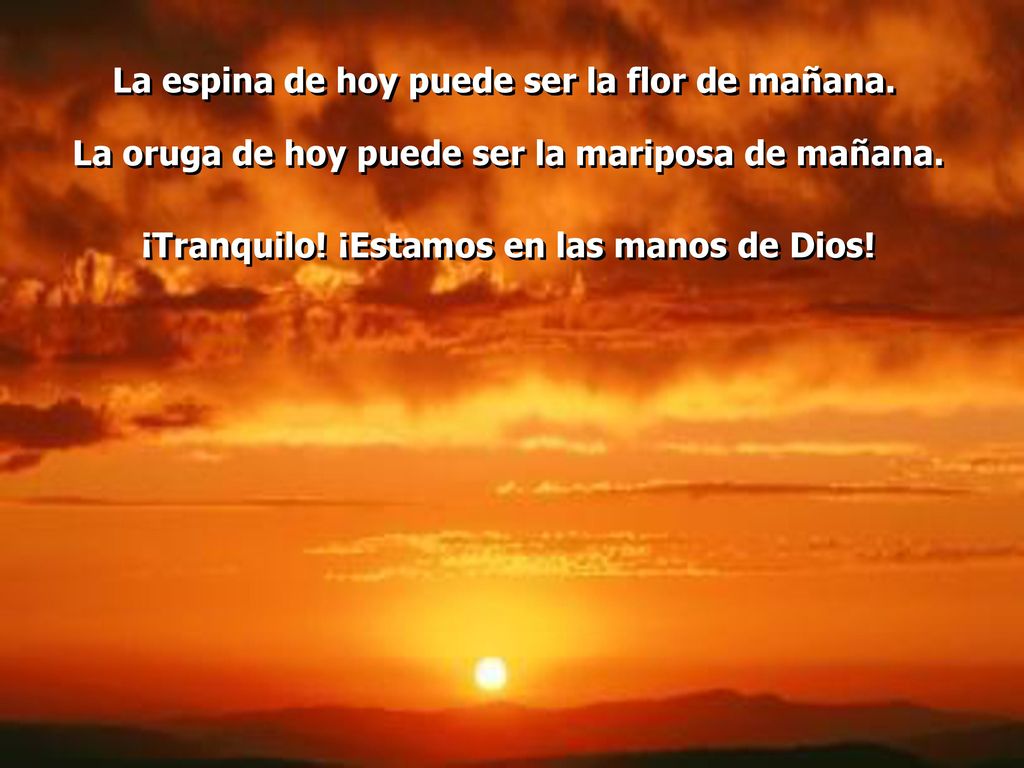 La espina de hoy puede ser la flor de mañana.