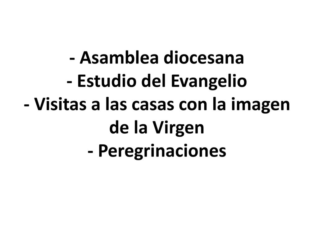 - Asamblea diocesana - Estudio del Evangelio - Visitas a las casas con la imagen de la Virgen - Peregrinaciones