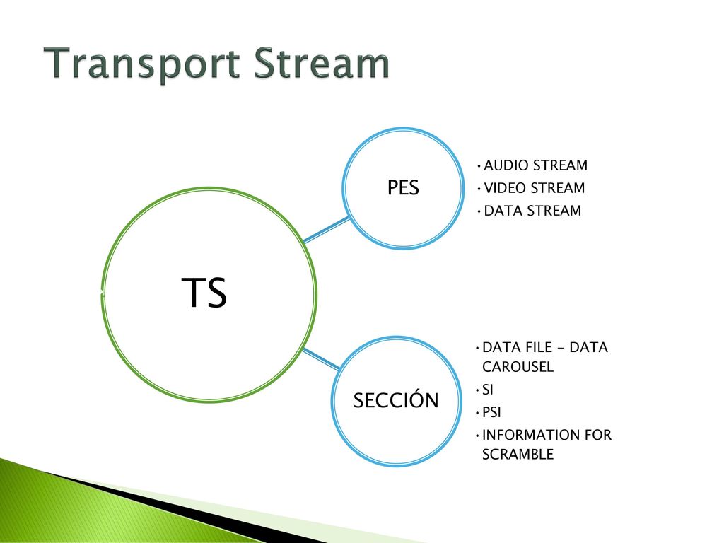 Transport Stream TS PES SECCIÓN AUDIO STREAM VIDEO STREAM DATA STREAM