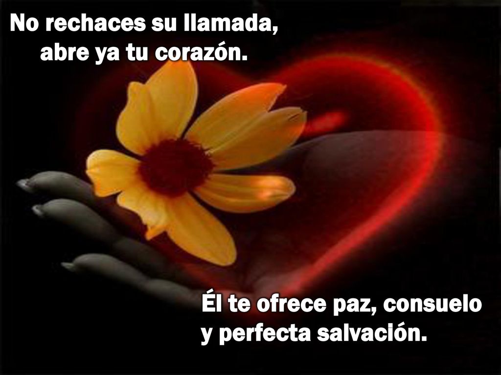 No rechaces su llamada, abre ya tu corazón.