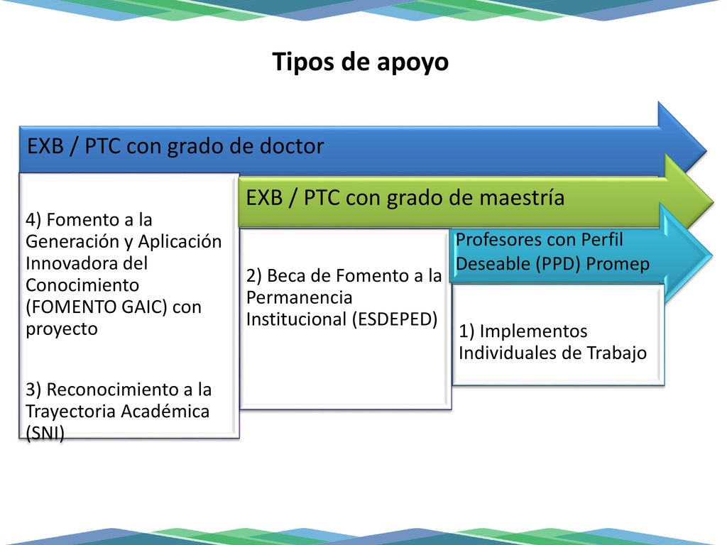 Tipos de apoyo EXB / PTC con grado de doctor