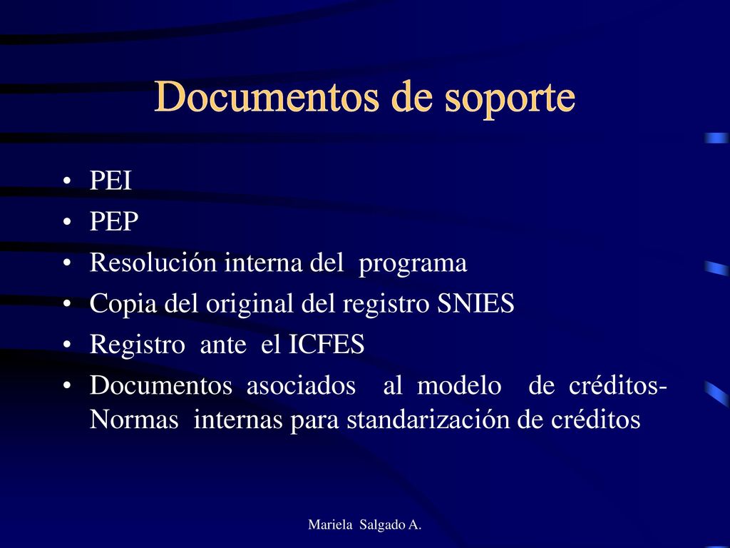 Documentos de soporte PEI PEP Resolución interna del programa