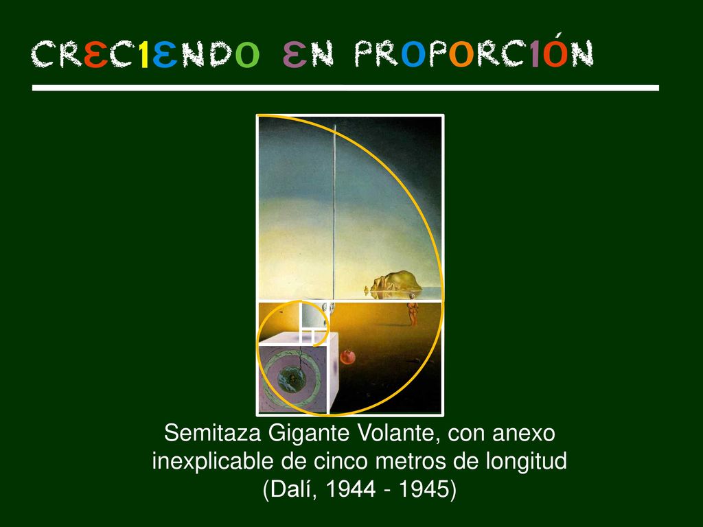 Semitaza Gigante Volante, con anexo inexplicable de cinco metros de longitud