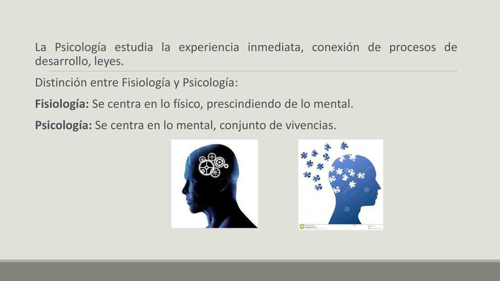La Psicología estudia la experiencia inmediata, conexión de procesos de desarrollo, leyes.