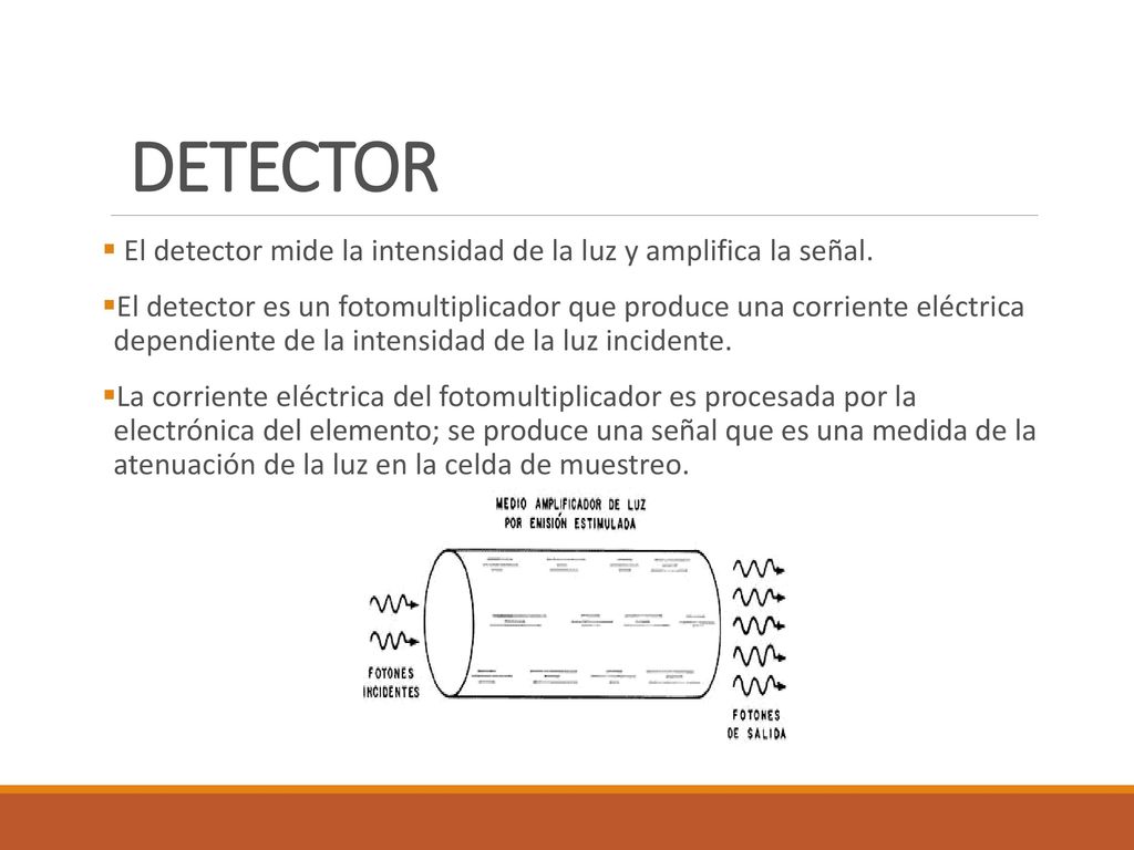 DETECTOR El detector mide la intensidad de la luz y amplifica la señal.