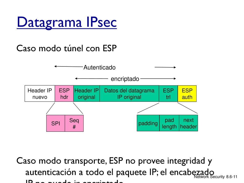 Datos del datagrama IP original