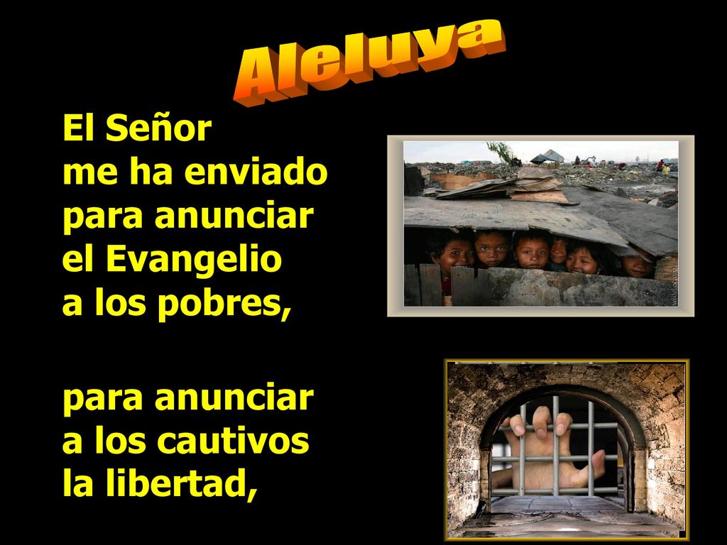 Aleluya El Señor me ha enviado para anunciar el Evangelio a los pobres,