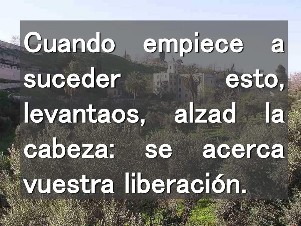 Cuando empiece a suceder esto, levantaos, alzad la cabeza: se acerca vuestra liberación.