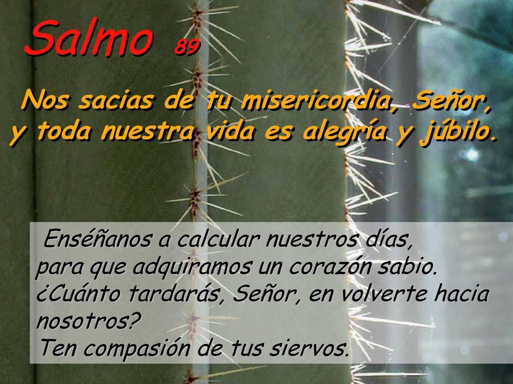 Salmo 89 Nos sacias de tu misericordia, Señor, y toda nuestra vida es alegría y júbilo.