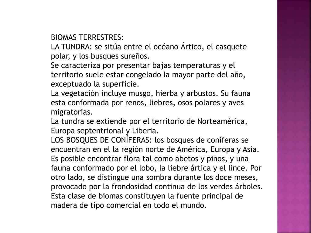BIOMAS TERRESTRES: LA TUNDRA: se sitúa entre el océano Ártico, el casquete polar, y los busques sureños.