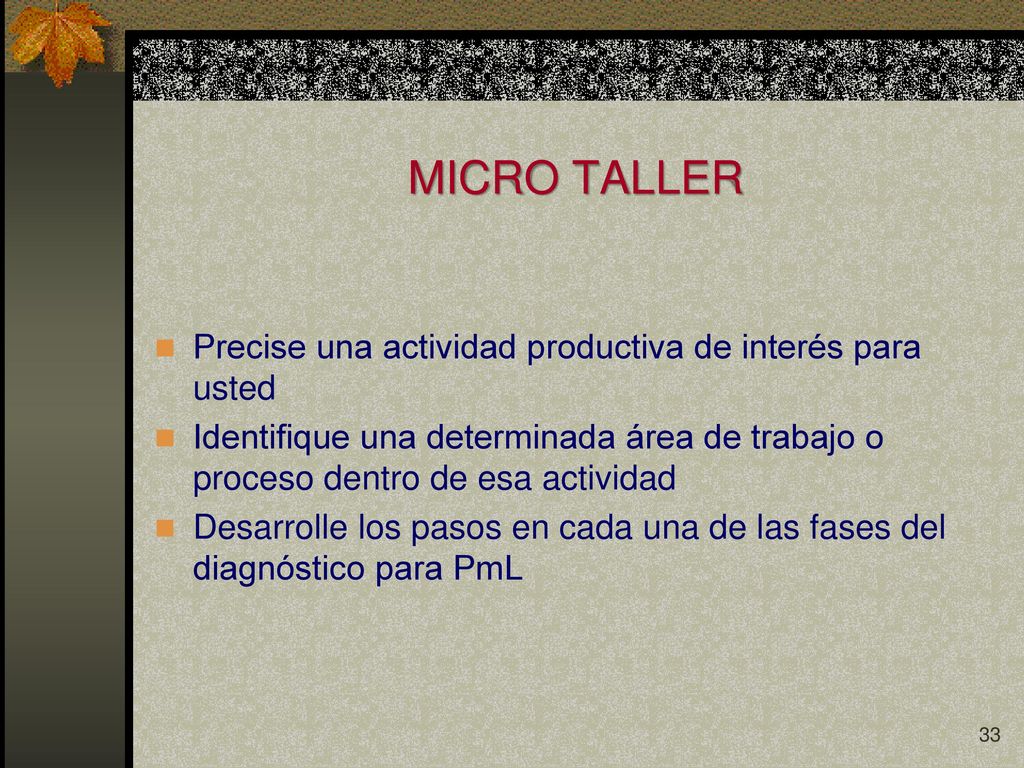 MICRO TALLER Precise una actividad productiva de interés para usted