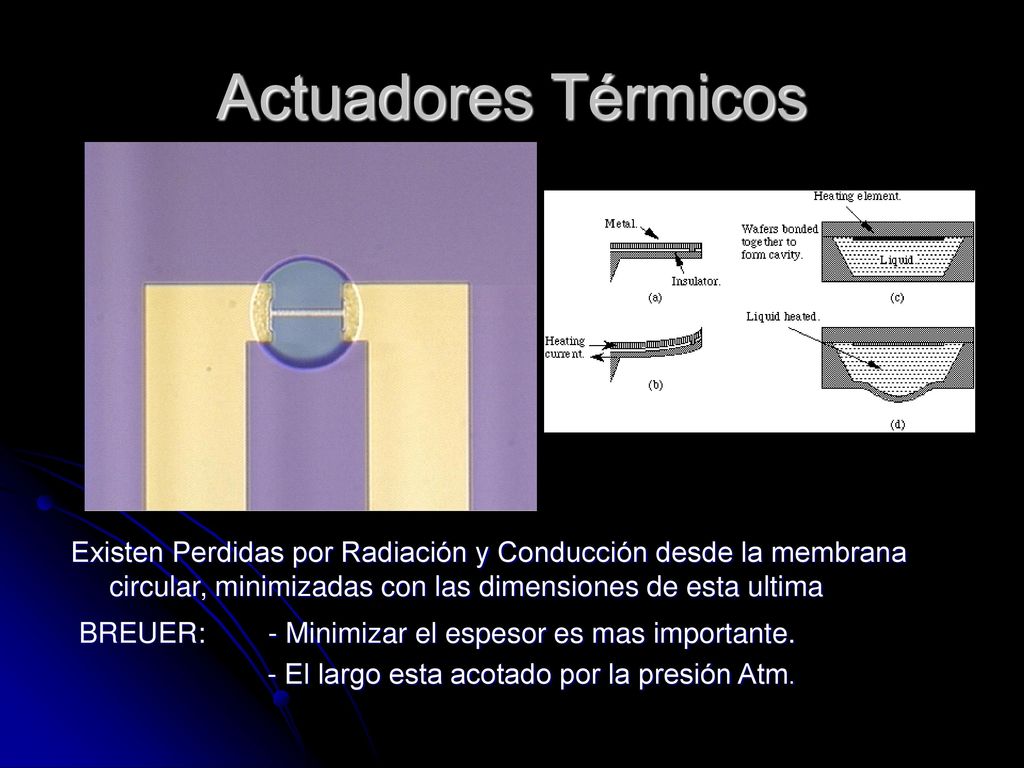 Actuadores Térmicos Existen Perdidas por Radiación y Conducción desde la membrana circular, minimizadas con las dimensiones de esta ultima.