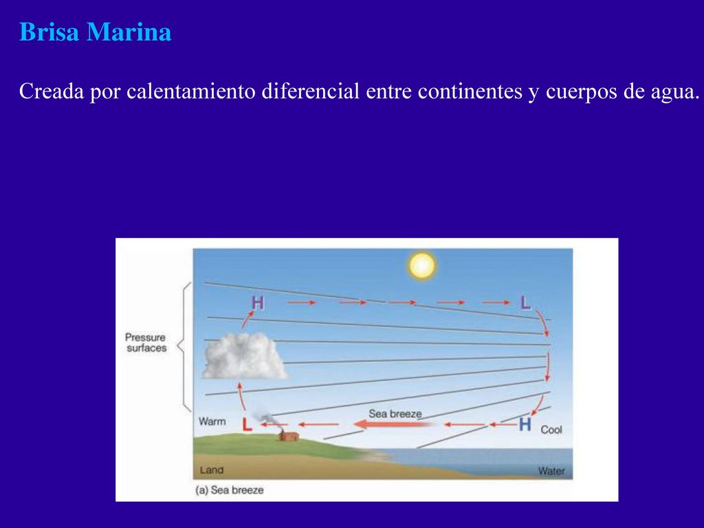 Brisa Marina Creada por calentamiento diferencial entre continentes y cuerpos de agua.