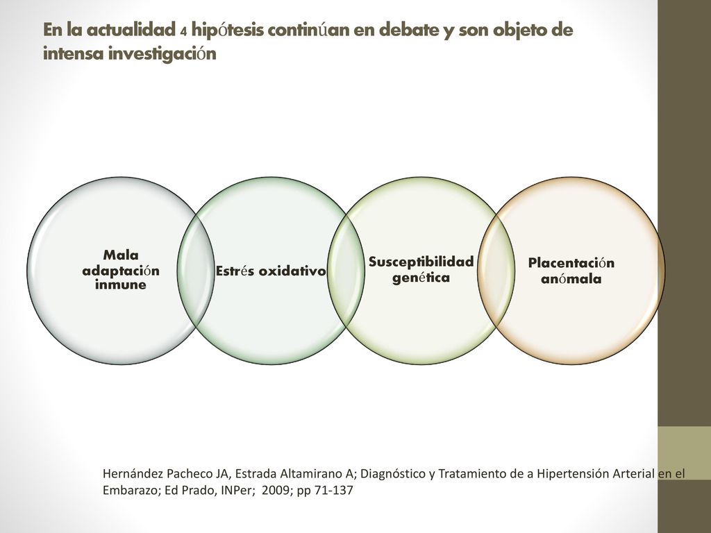 En la actualidad 4 hipótesis continúan en debate y son objeto de intensa investigación