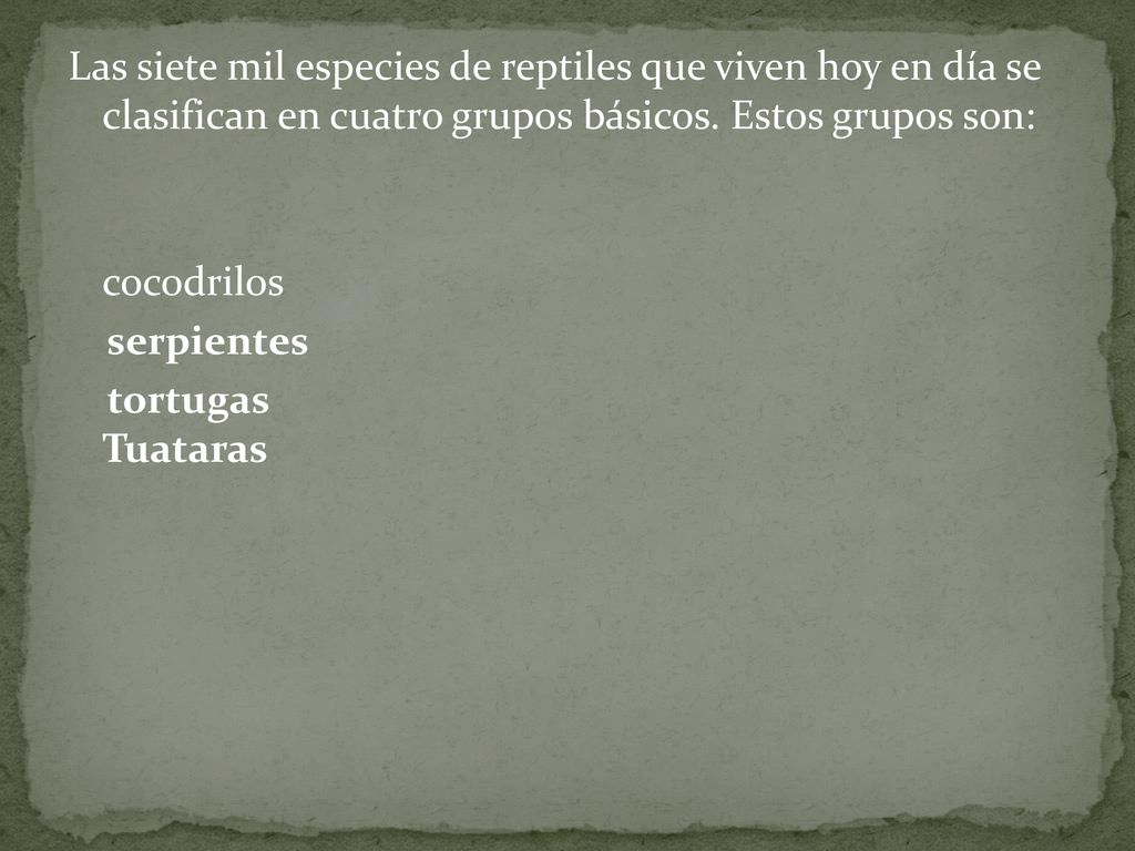 Las siete mil especies de reptiles que viven hoy en día se clasifican en cuatro grupos básicos.