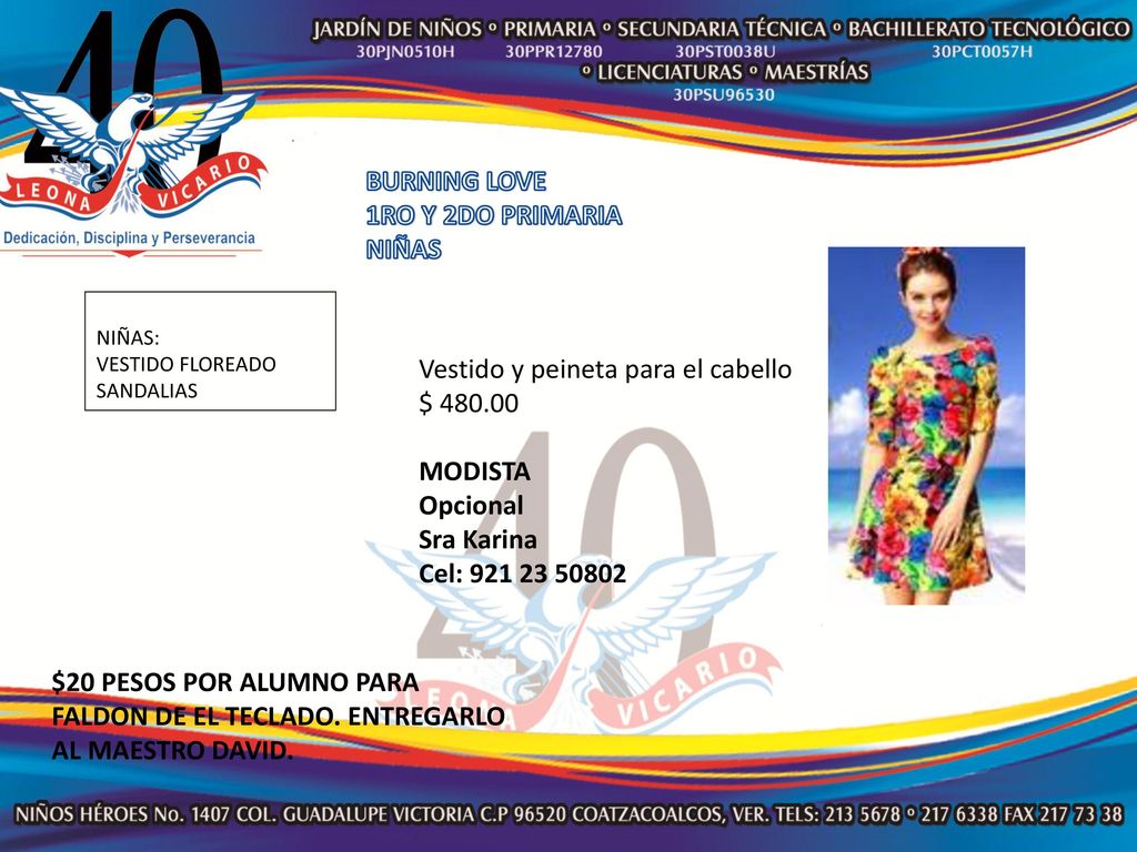 Vestido y peineta para el cabello $ MODISTA Opcional Sra Karina