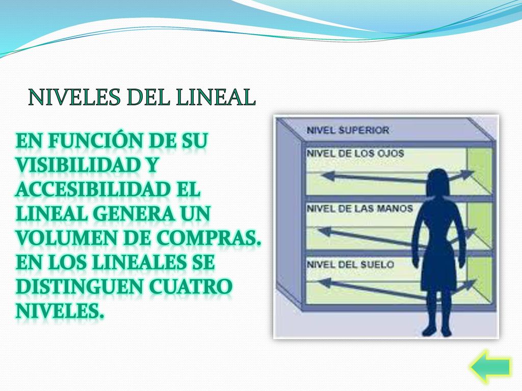 NIVELES DEL LINEAL En función de su visibilidad y accesibilidad el lineal genera un volumen de compras.