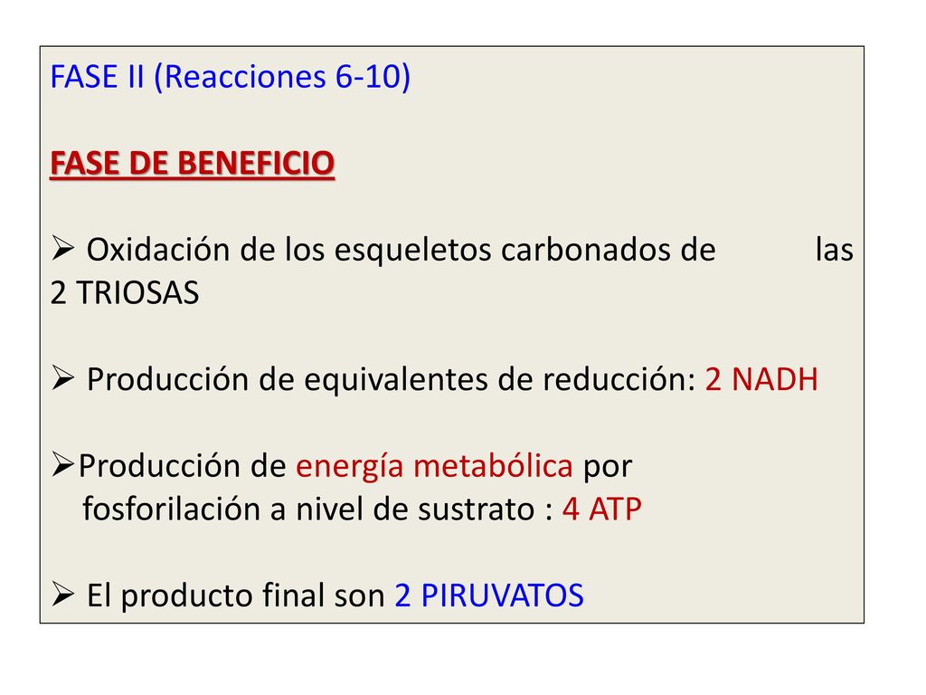FASE II (Reacciones 6-10) FASE DE BENEFICIO. Oxidación de los esqueletos carbonados de las 2 TRIOSAS.