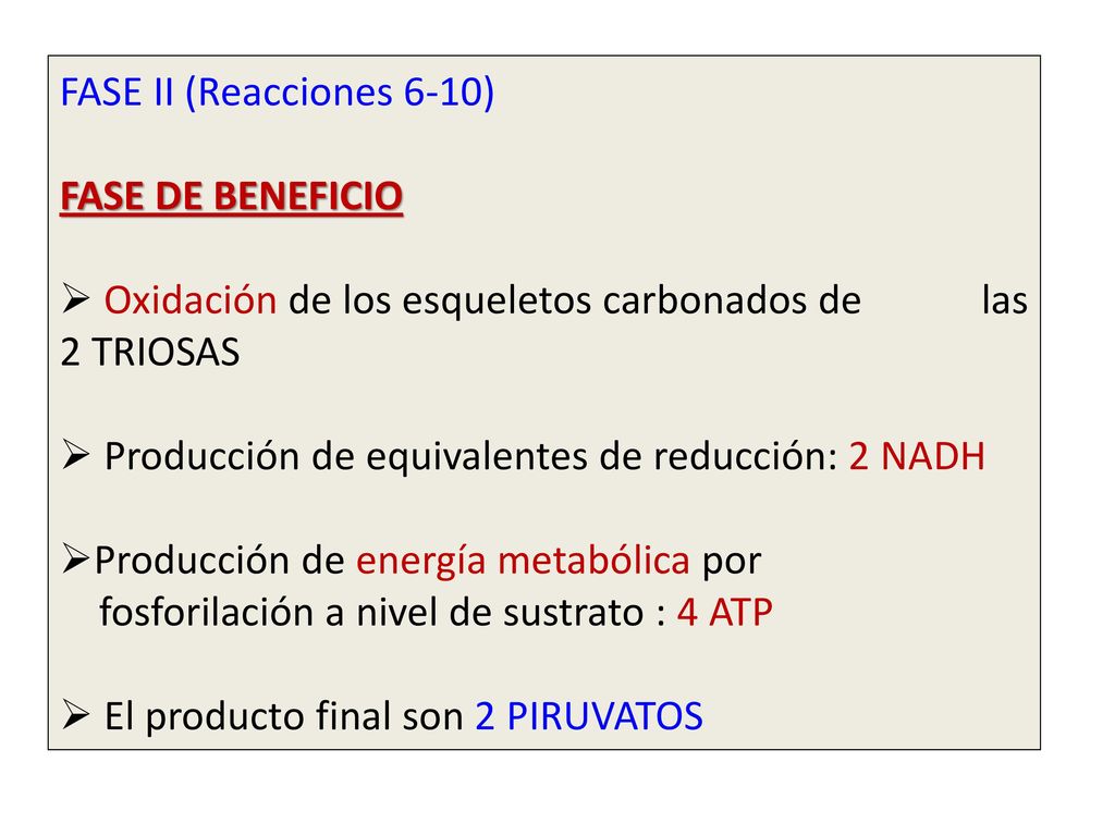 FASE II (Reacciones 6-10) FASE DE BENEFICIO. Oxidación de los esqueletos carbonados de las 2 TRIOSAS.