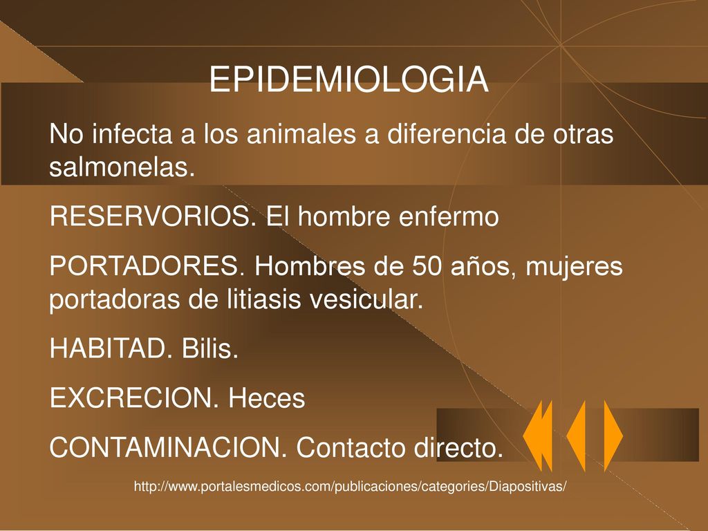 EPIDEMIOLOGIA No infecta a los animales a diferencia de otras salmonelas. RESERVORIOS. El hombre enfermo.