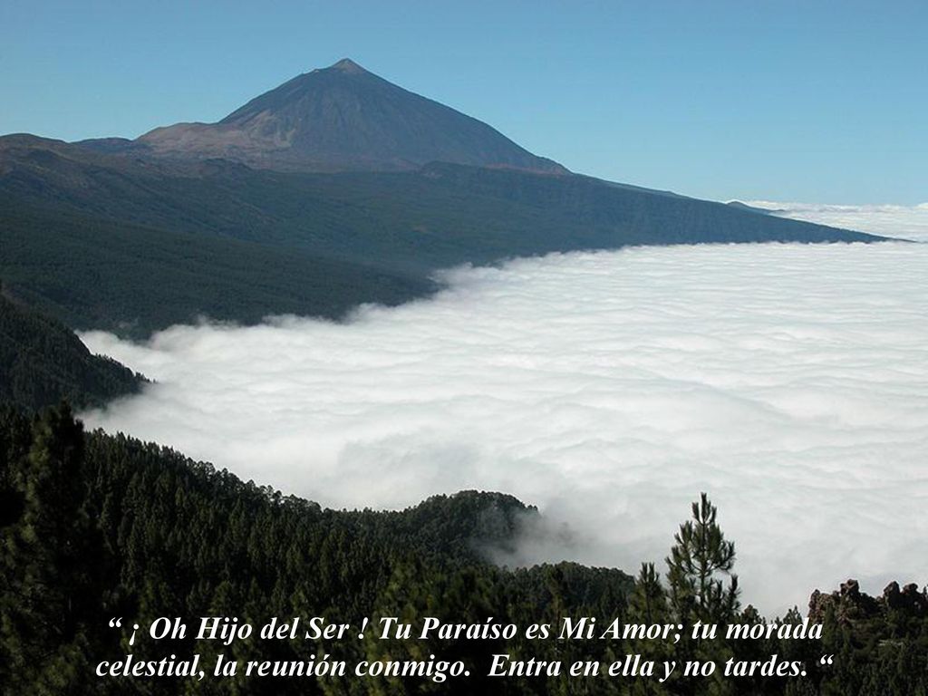 ¡ Oh Hijo del Ser . Tu Paraíso es Mi Amor; tu morada celestial, la reunión conmigo.