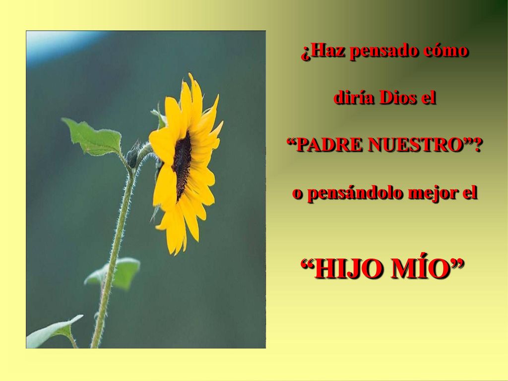 HIJO MÍO ¿Haz pensado cómo diría Dios el PADRE NUESTRO