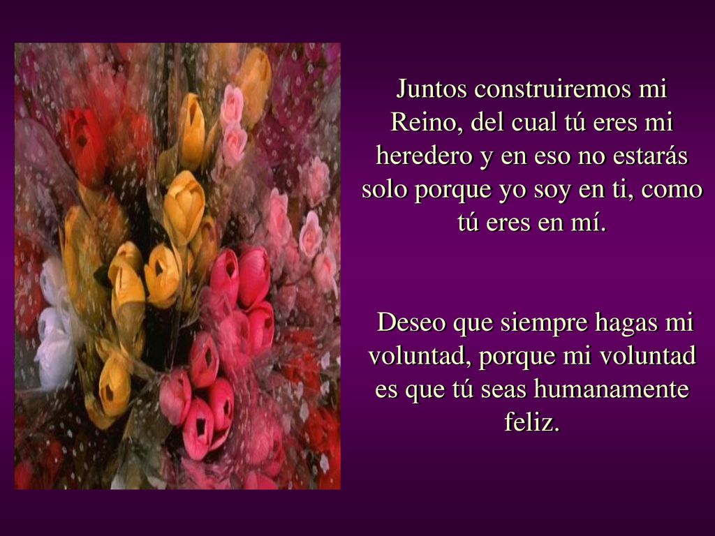 Juntos construiremos mi Reino, del cual tú eres mi heredero y en eso no estarás solo porque yo soy en ti, como tú eres en mí.