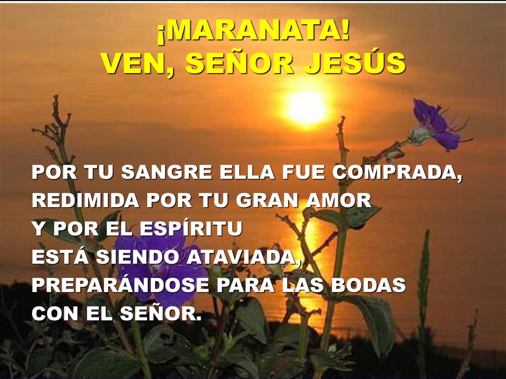 ¡MARANATA! VEN, SEÑOR JESÚS