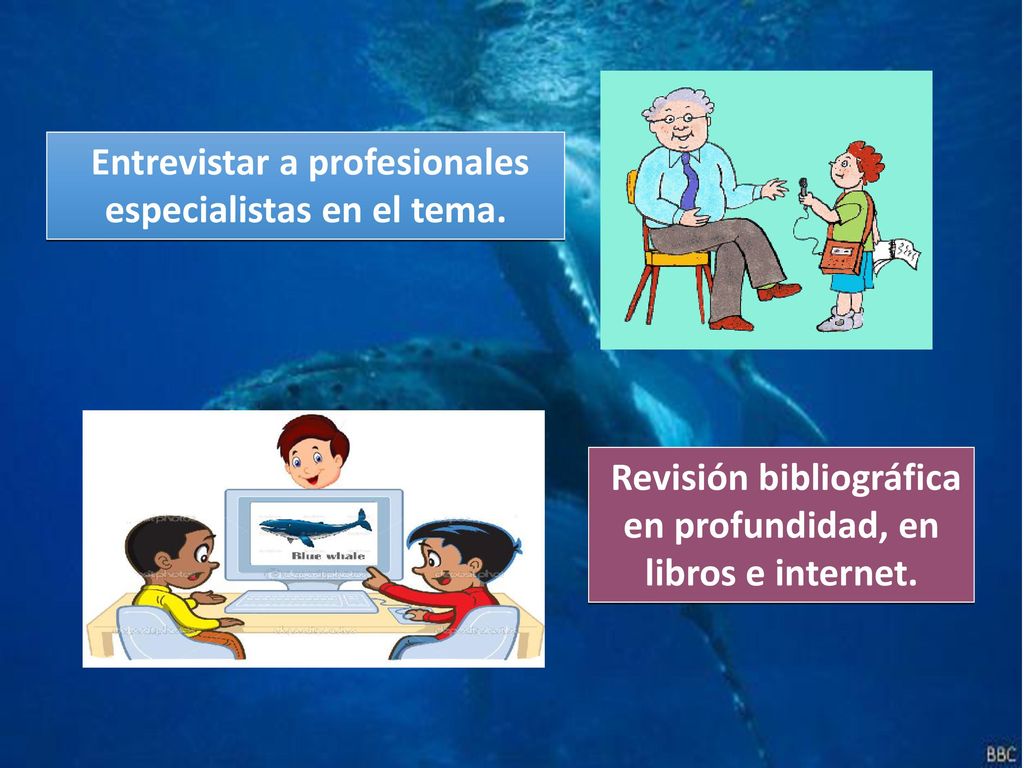 Entrevistar a profesionales especialistas en el tema.