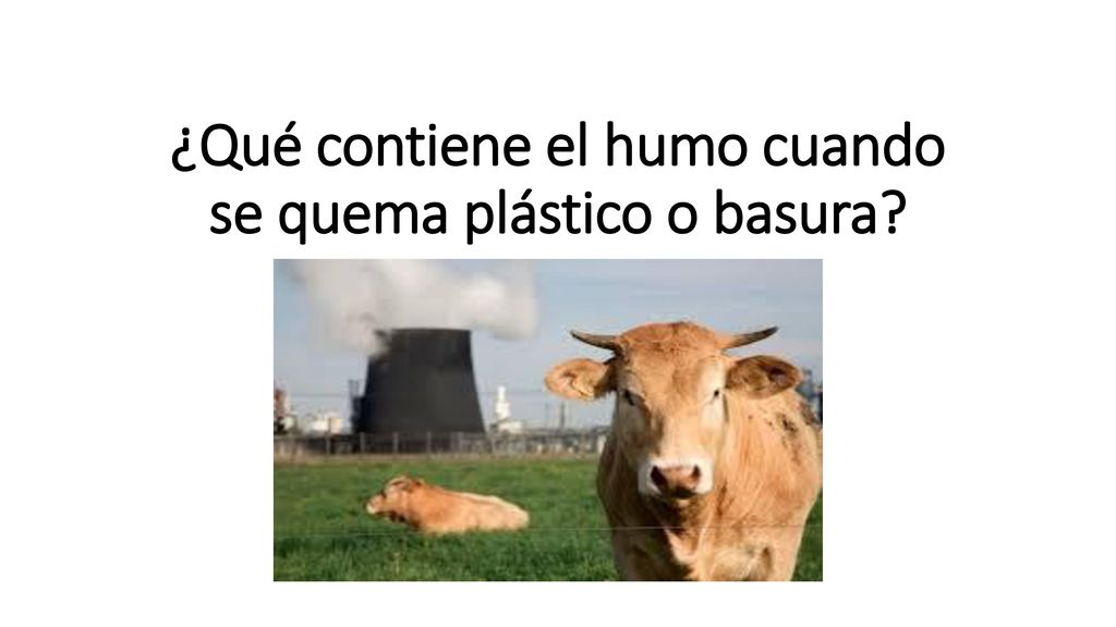 ¿Qué contiene el humo cuando se quema plástico o basura