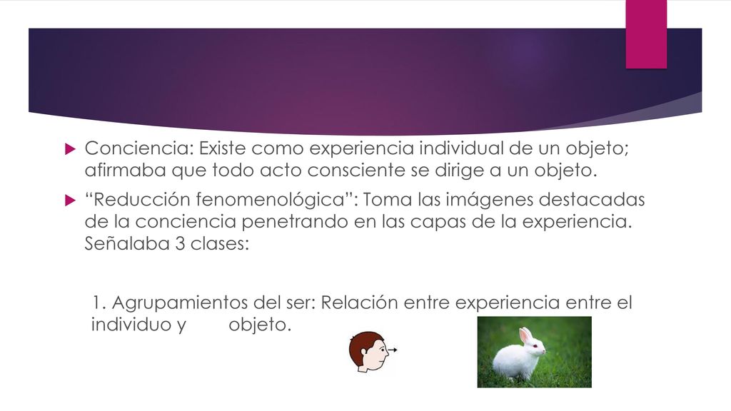 Conciencia: Existe como experiencia individual de un objeto; afirmaba que todo acto consciente se dirige a un objeto.