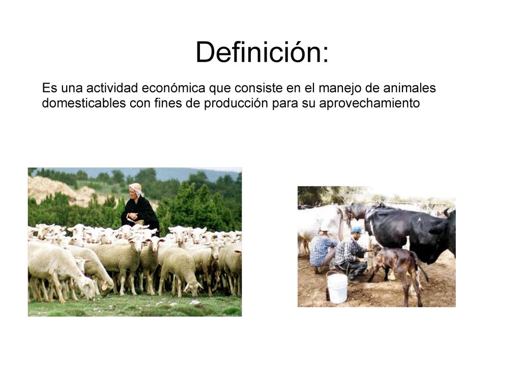 Definición: Es una actividad económica que consiste en el manejo de animales domesticables con fines de producción para su aprovechamiento.