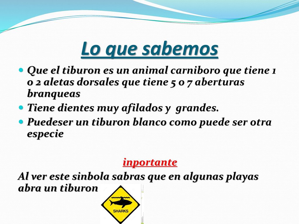 Lo que sabemos Que el tiburon es un animal carniboro que tiene 1 o 2 aletas dorsales que tiene 5 o 7 aberturas branqueas.