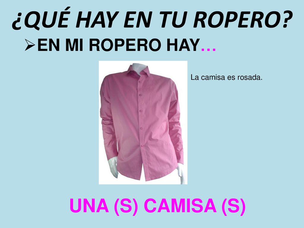 ¿QUÉ HAY EN TU ROPERO UNA (S) CAMISA (S) EN MI ROPERO HAY…