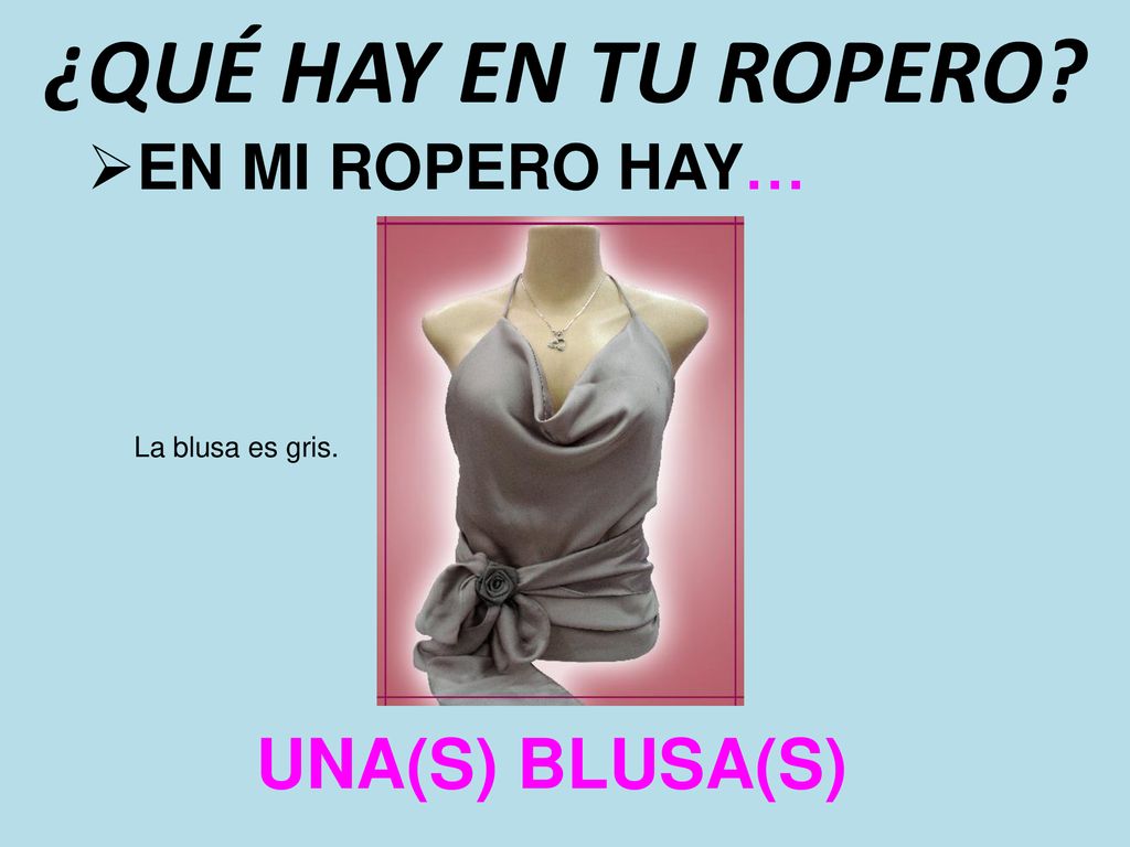 ¿QUÉ HAY EN TU ROPERO UNA(S) BLUSA(S) EN MI ROPERO HAY…