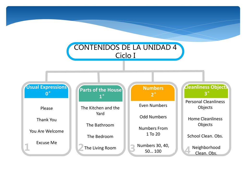 CONTENIDOS DE LA UNIDAD 4 Ciclo I Usual Expressions 0°