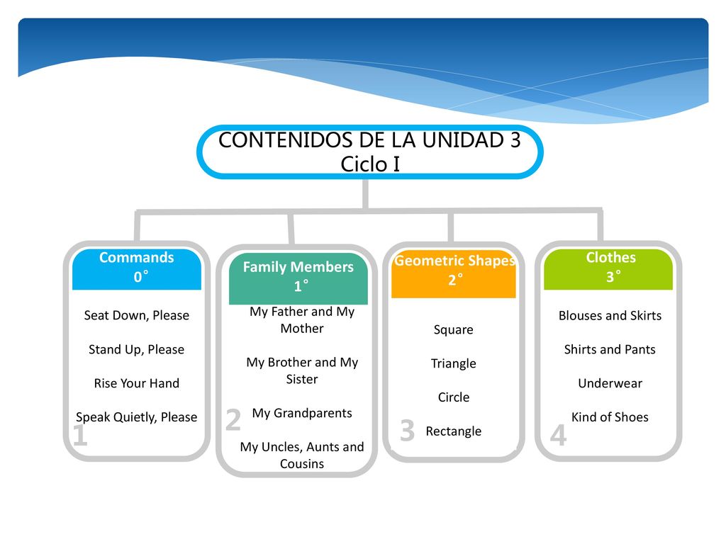 CONTENIDOS DE LA UNIDAD 3 Ciclo I Blouses Commands 0°