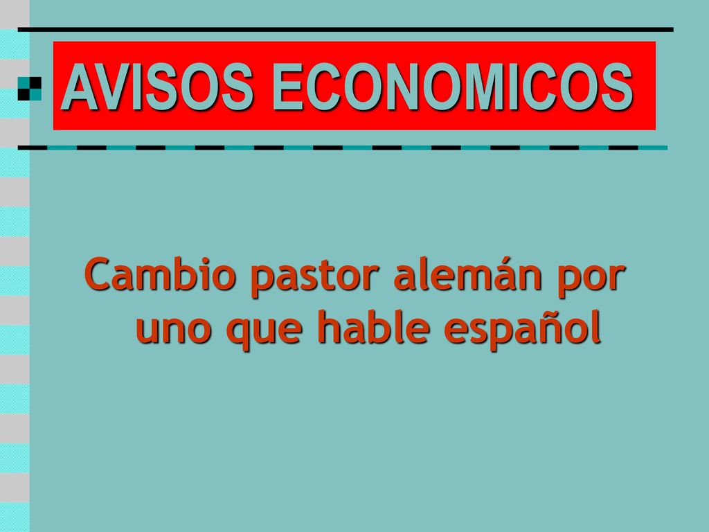 Cambio pastor alemán por uno que hable español