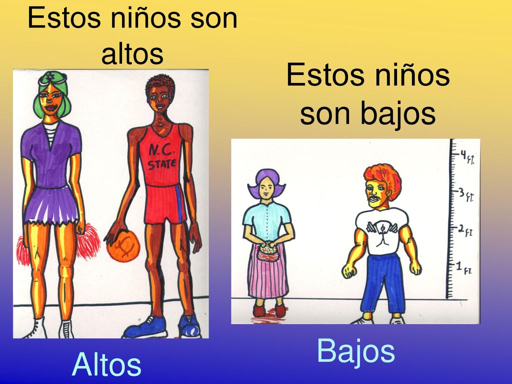 Estos niños son altos Estos niños son bajos Bajos Altos