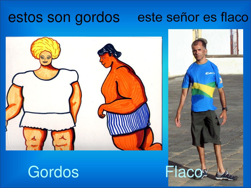 estos son gordos este señor es flaco Gordos Flaco