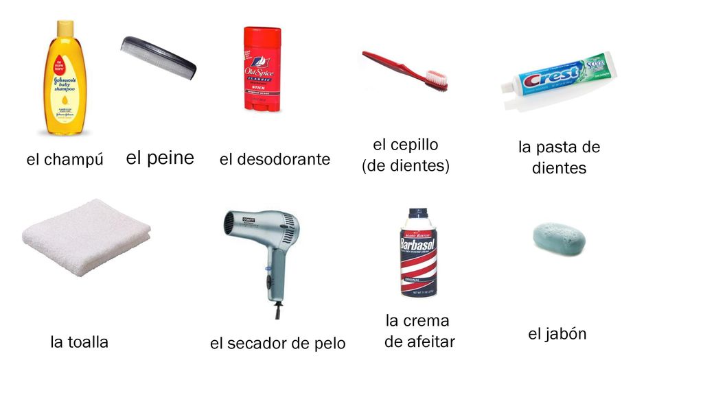 el peine el cepillo (de dientes) la pasta de dientes el champú