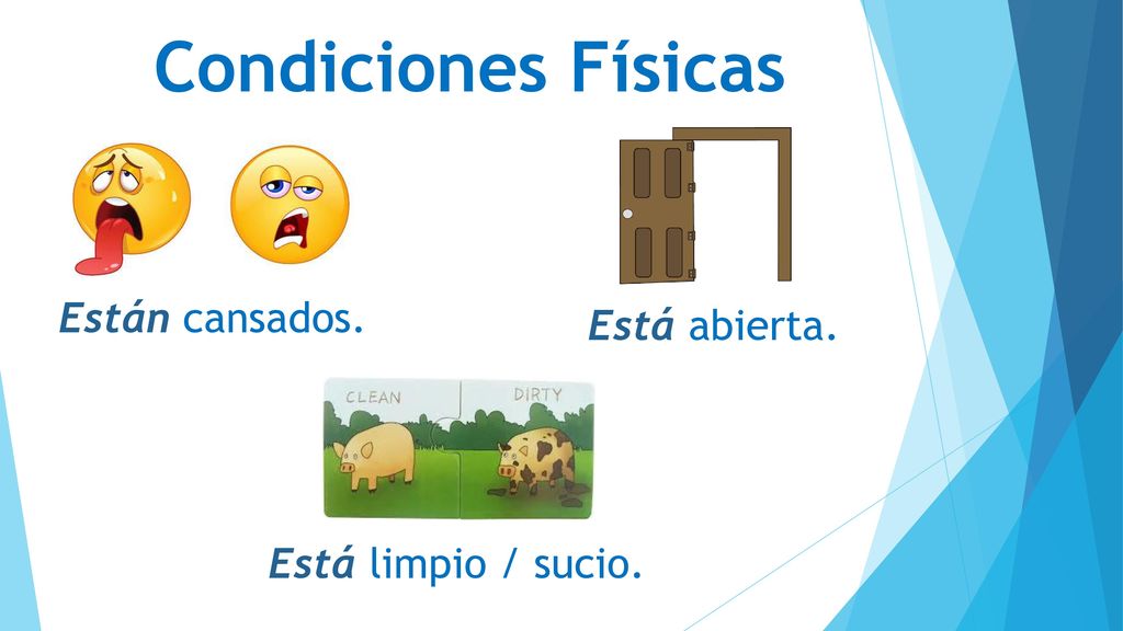 Condiciones Físicas Están cansados. Está abierta. Está limpio / sucio.