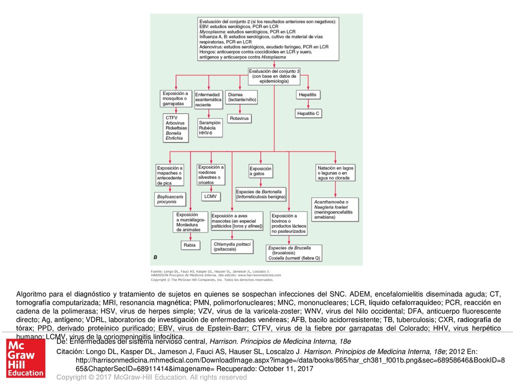 Algoritmo para el diagnóstico y tratamiento de sujetos en quienes se sospechan infecciones del SNC. ADEM, encefalomielitis diseminada aguda; CT, tomografía computarizada; MRI, resonancia magnética; PMN, polimorfonucleares; MNC, mononucleares; LCR, líquido cefalorraquídeo; PCR, reacción en cadena de la polimerasa; HSV, virus de herpes simple; VZV, virus de la varicela-zoster; WNV, virus del Nilo occidental; DFA, anticuerpo fluorescente directo; Ag, antígeno; VDRL, laboratorios de investigación de enfermedades venéreas; AFB, bacilo acidorresistente; TB, tuberculosis; CXR, radiografía de tórax; PPD, derivado proteínico purificado; EBV, virus de Epstein-Barr; CTFV, virus de la fiebre por garrapatas del Colorado; HHV, virus herpético humano; LCMV, virus de la coriomeningitis linfocítica.
