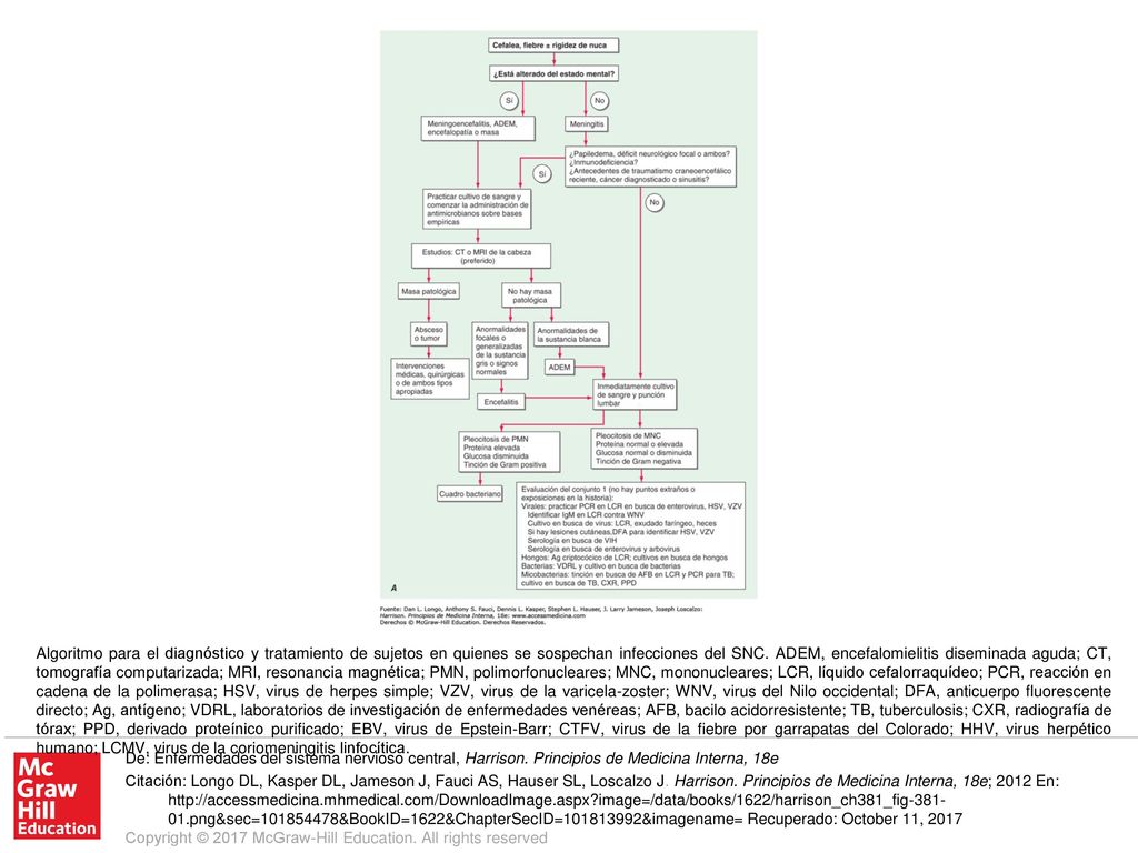 Algoritmo para el diagnóstico y tratamiento de sujetos en quienes se sospechan infecciones del SNC. ADEM, encefalomielitis diseminada aguda; CT, tomografía computarizada; MRI, resonancia magnética; PMN, polimorfonucleares; MNC, mononucleares; LCR, líquido cefalorraquídeo; PCR, reacción en cadena de la polimerasa; HSV, virus de herpes simple; VZV, virus de la varicela-zoster; WNV, virus del Nilo occidental; DFA, anticuerpo fluorescente directo; Ag, antígeno; VDRL, laboratorios de investigación de enfermedades venéreas; AFB, bacilo acidorresistente; TB, tuberculosis; CXR, radiografía de tórax; PPD, derivado proteínico purificado; EBV, virus de Epstein-Barr; CTFV, virus de la fiebre por garrapatas del Colorado; HHV, virus herpético humano; LCMV, virus de la coriomeningitis linfocítica.