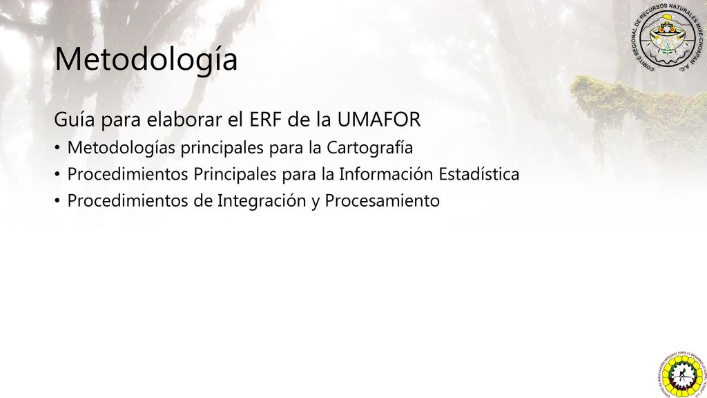 Metodología Guía para elaborar el ERF de la UMAFOR