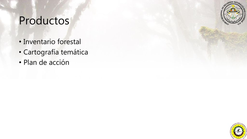 Productos Inventario forestal Cartografía temática Plan de acción