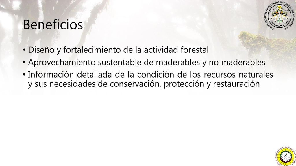 Beneficios Diseño y fortalecimiento de la actividad forestal