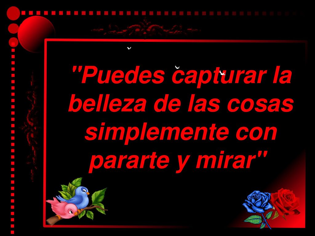 Puedes capturar la belleza de las cosas simplemente con pararte y mirar