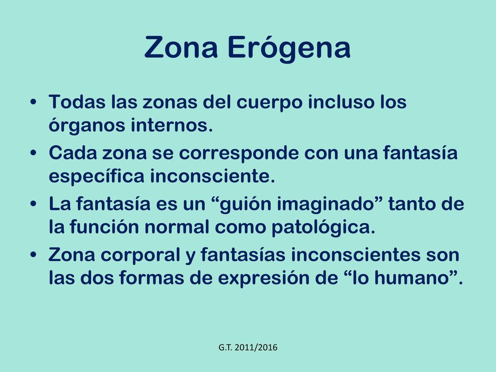 Zona Erógena Todas las zonas del cuerpo incluso los órganos internos.