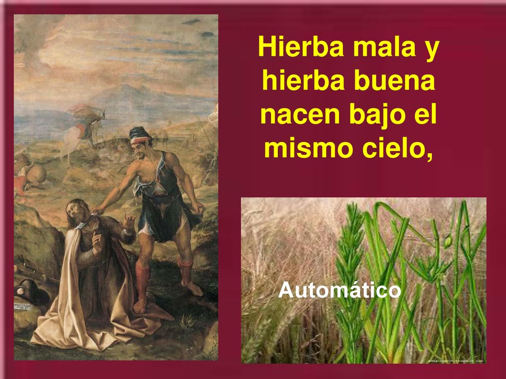 Hierba mala y hierba buena nacen bajo el mismo cielo,